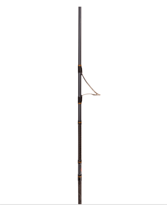 PENN Battalion Solid Jig Spin Fishing Rod 602SPM - 6'' PE 2-4 / 2 Piece 1631114