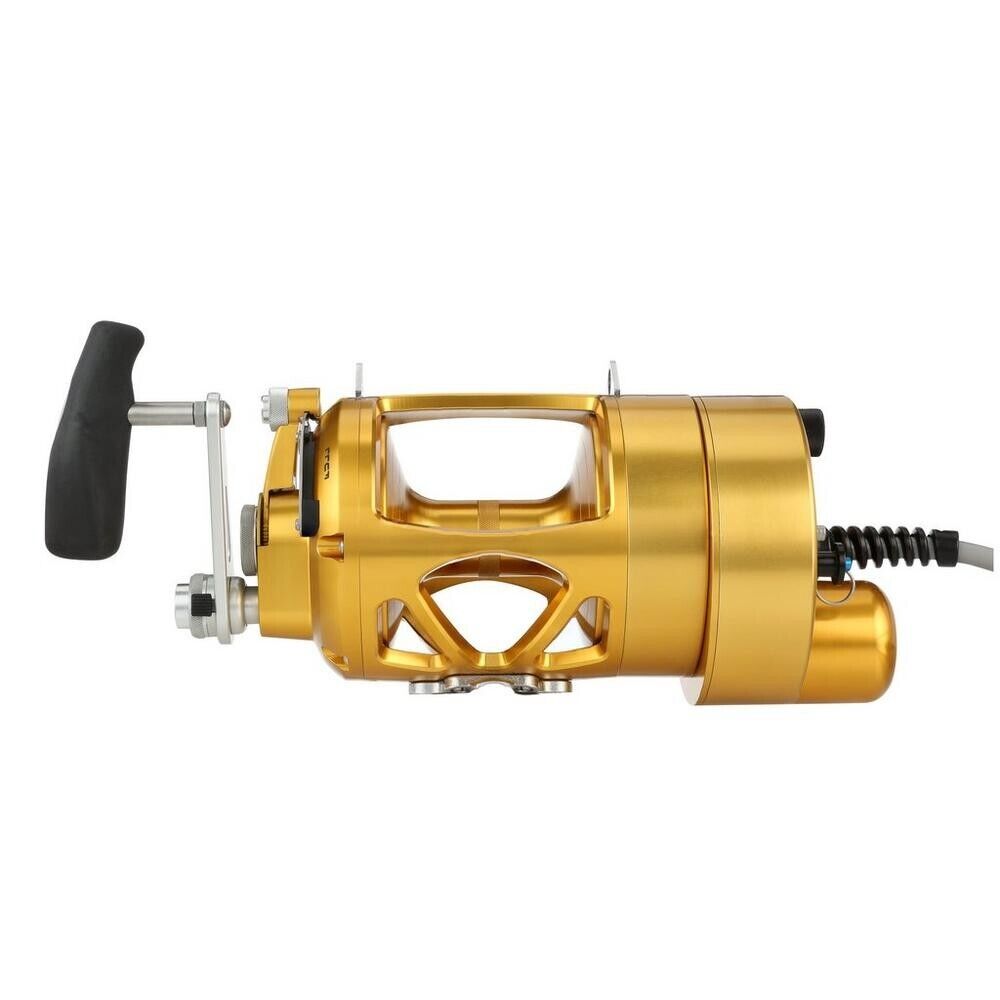 Hooker Electric Penn INTERNATIONAL VI INT80VISWDM Detachable Fish Overhead Reel