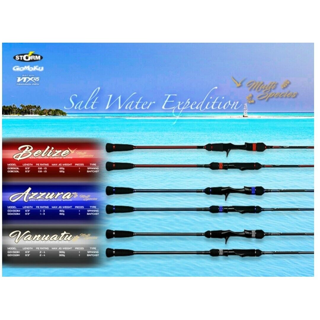 Storm Gomoku AZZURRA 6'3" 1 Piece PE1-3 GOAS631M Spinning Jigging Rod