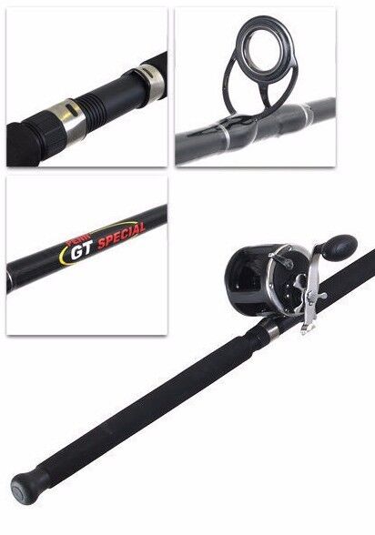 Penn GT Graphite Overhead Rod 1 Piece 6' 8-12 kg + Free Post + Warranty