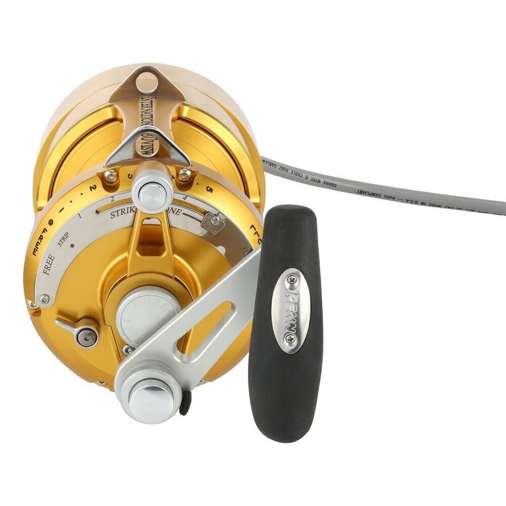 Hooker Electric Penn INTERNATIONAL VI INT80VISWDM Detachable Fish Overhead Reel