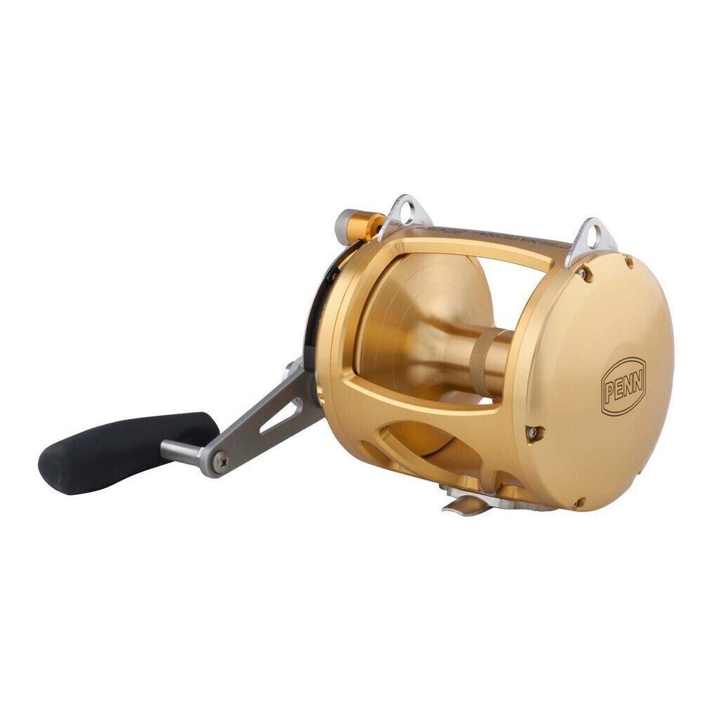 Penn INTERNATIONAL 50VISW Series Two 2 Speed Reel - BRAND NEW + 50 VISW