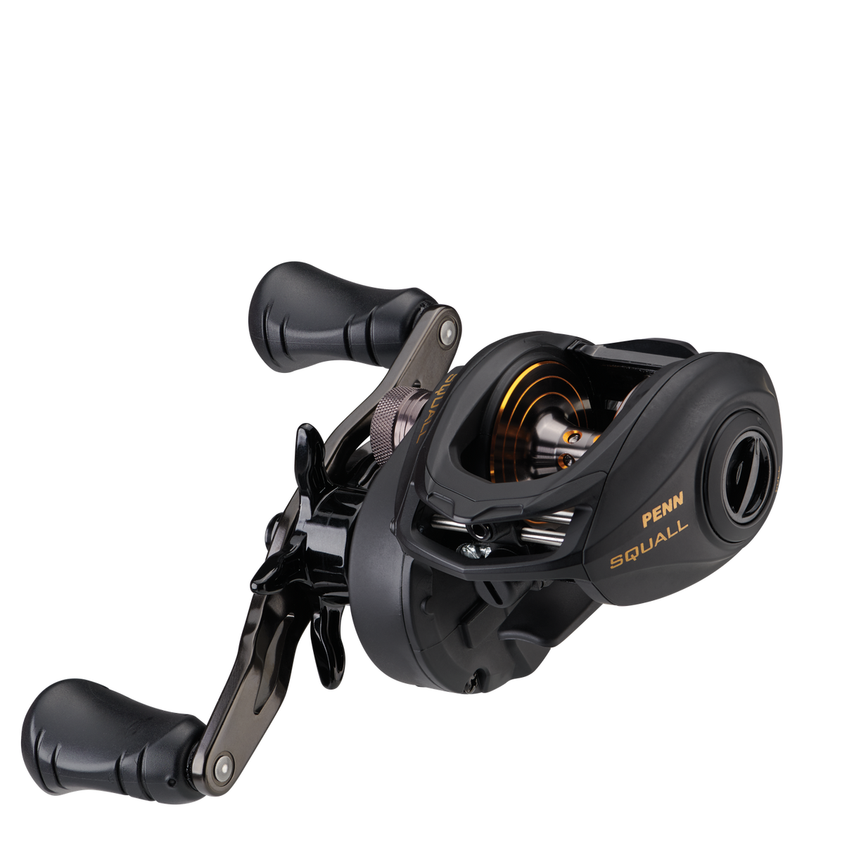 NEW Penn SQUALL Low Profile Baitcast Reel High Speed SQL200LP + Free Braid