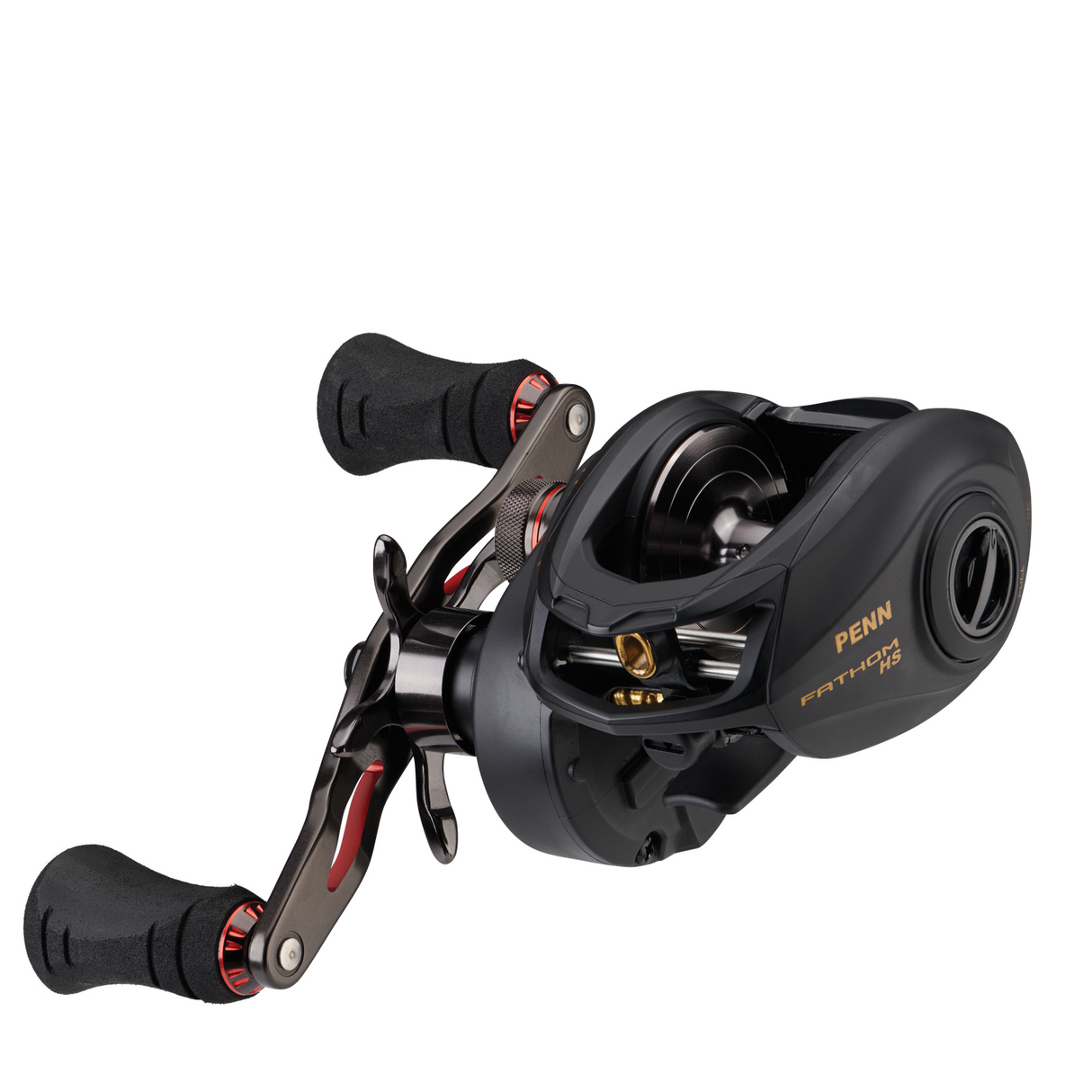 NEW Penn FATHOM Low Profile High Speed Baitcast Reel FTH300LPHS + Free Braid