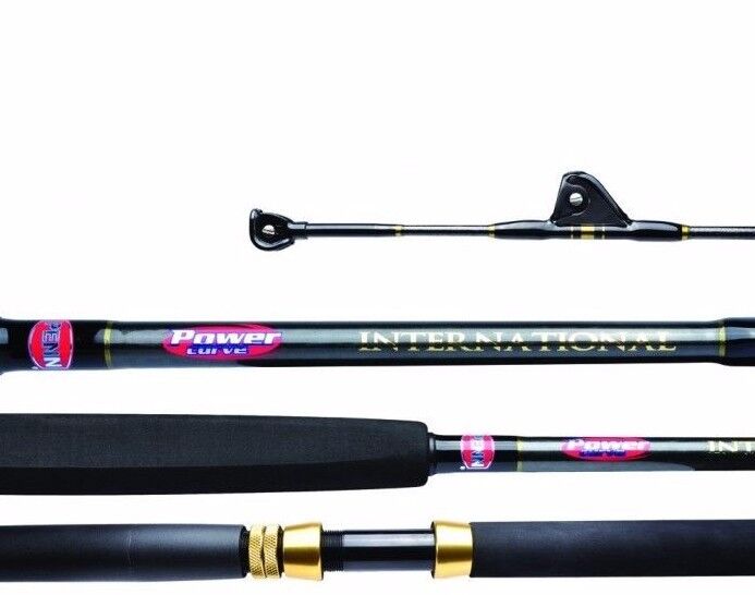 Penn Powercurve INTERNATIONAL 15KG Standup Game Rod 1.73m 1 Piece 5.68" NEW
