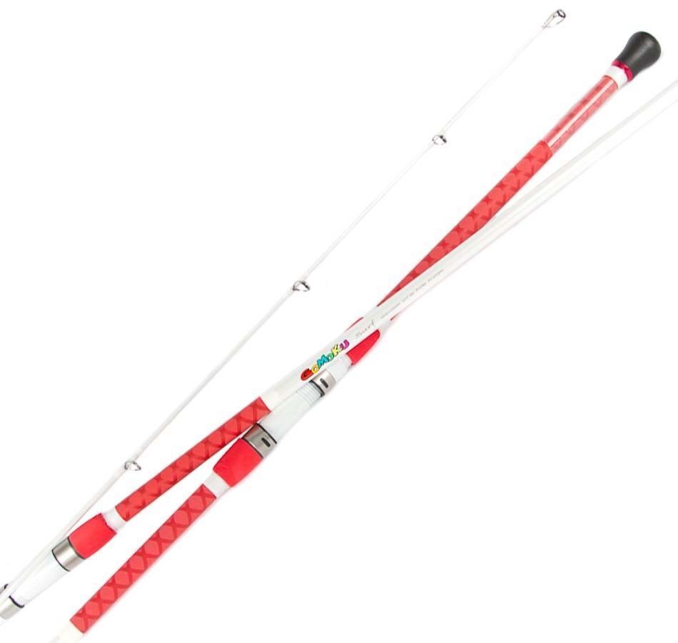 Storm Gomoku SURF 1202M 12'0" 8-10Kg 2Pc Surf Rod 2 Piece Graphite Surf Rod NEW