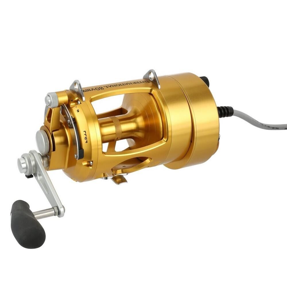 Hooker Electric Penn INTERNATIONAL VI INT80VISWDM Detachable Fish Overhead Reel