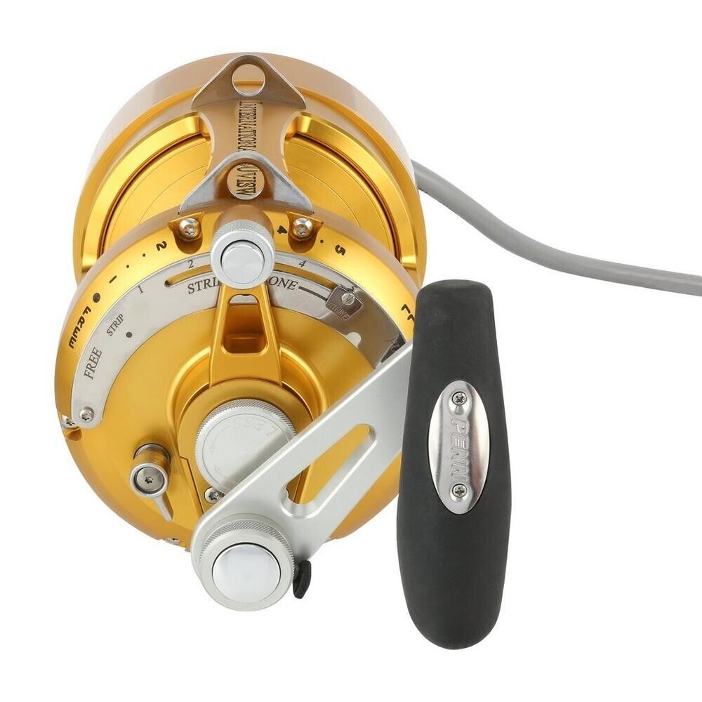 Hooker Electric Penn INTERNATIONAL VI INT50VISWSM Standard Fishing Overhead Reel