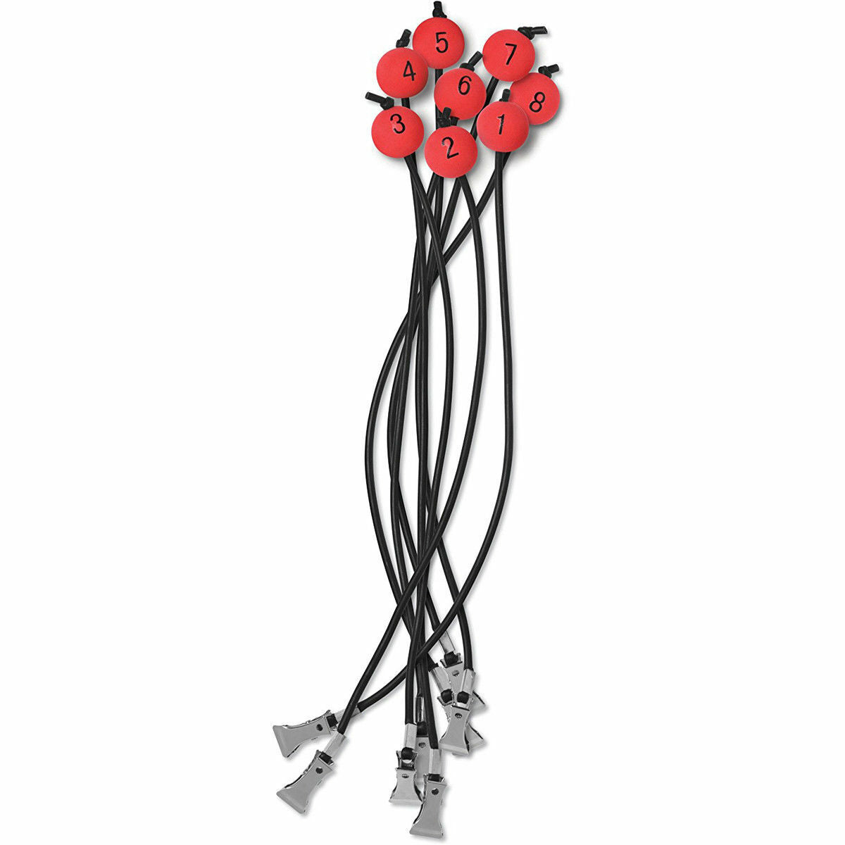 Rapala 15 lb Touch Screen Fishing Scale Tournament Model RTDS15 + 8 Storage