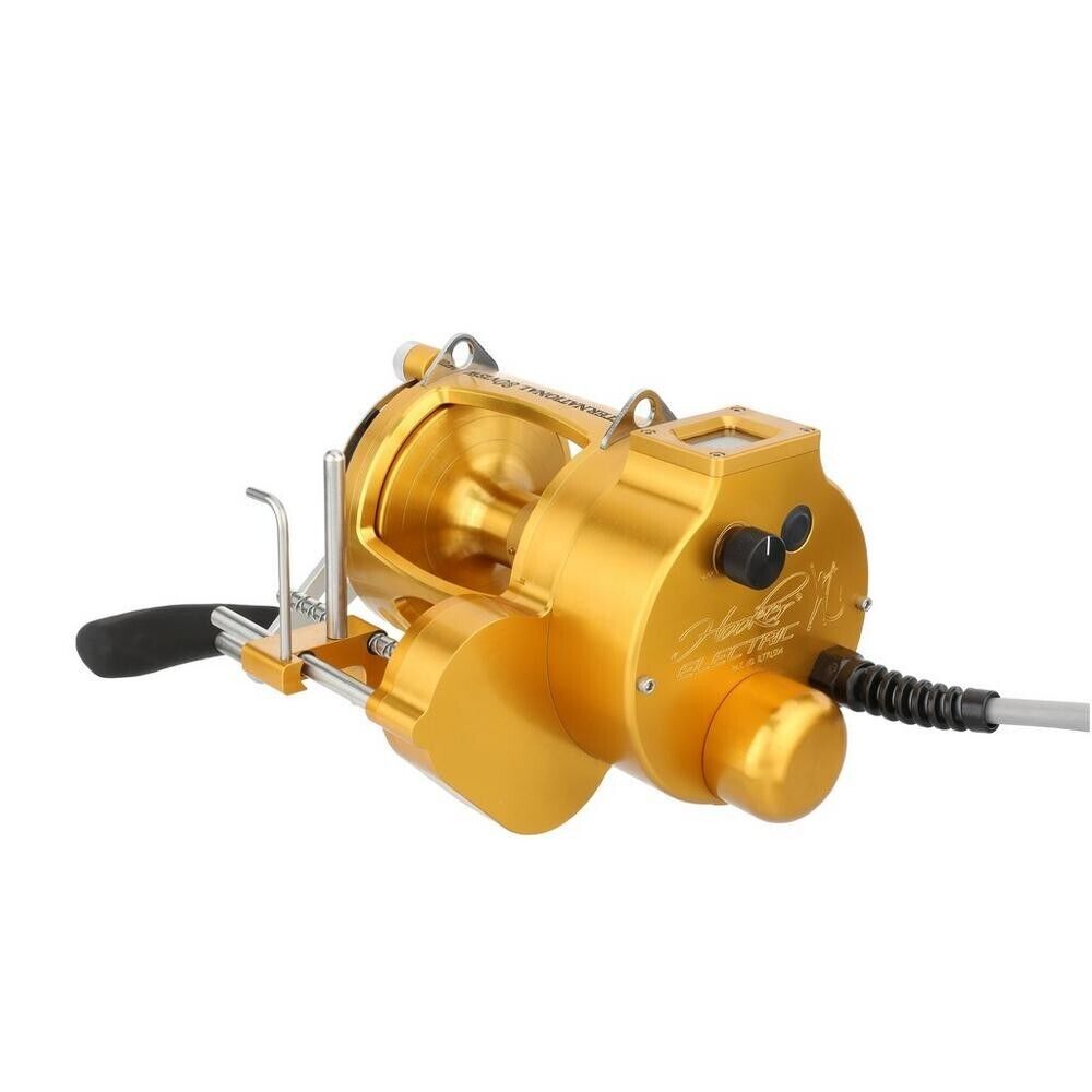 Hooker Electric Penn INTERNATIONAL VI INT30VISWAS AutoStop Fish Overhead Reel