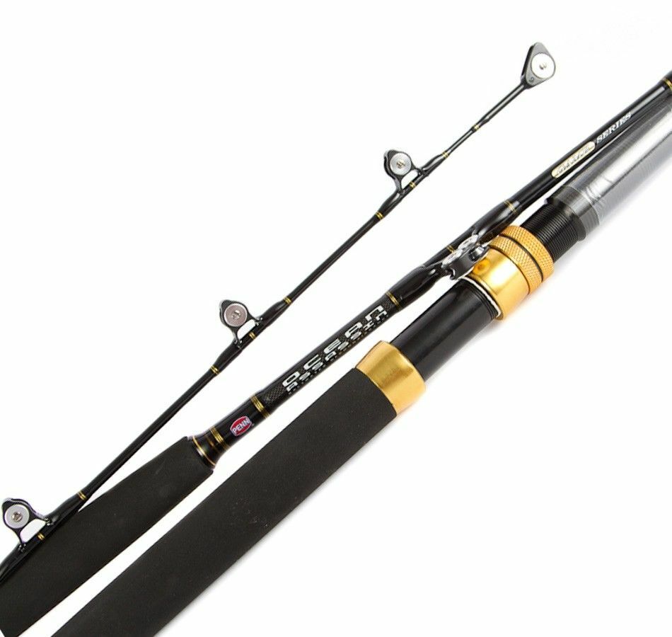 Penn Ocean Assassin Game Standup Roller Overhead Rod 5'4" 24 Kg 1495259 1 Piece