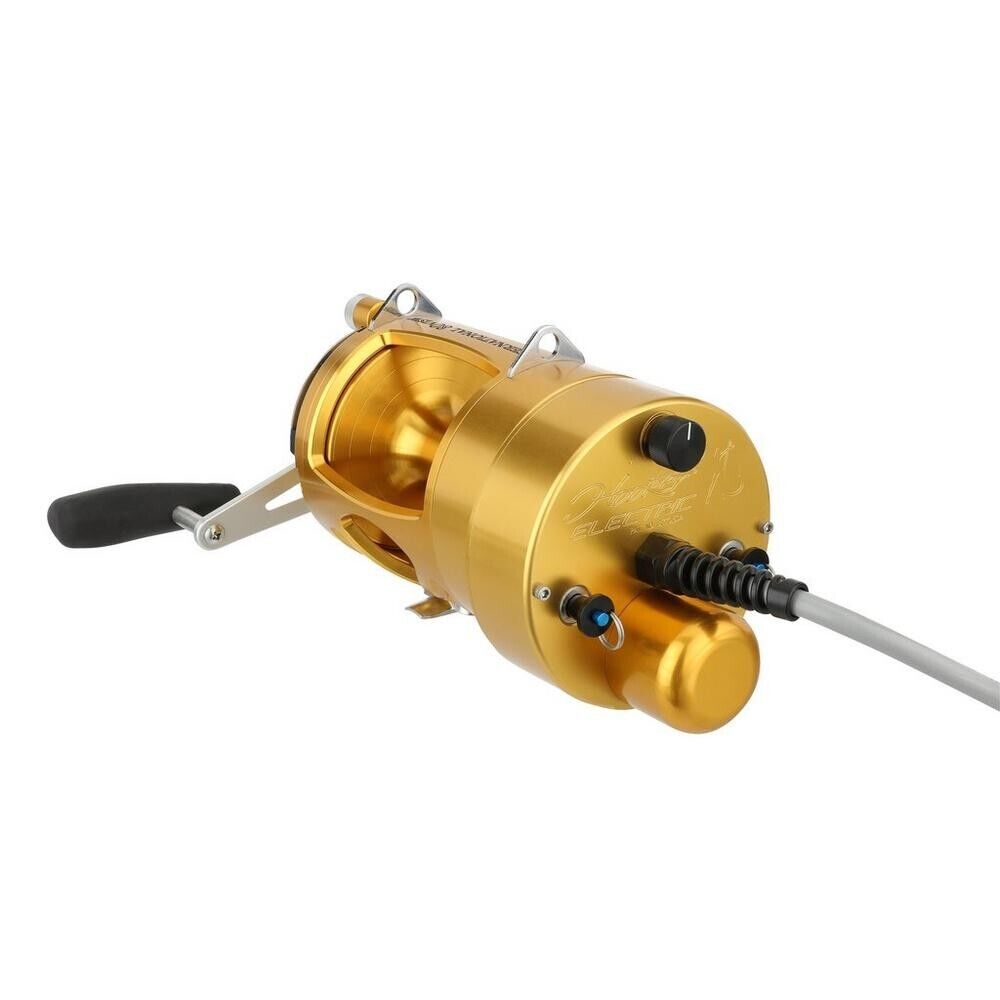 Hooker Electric Penn INTERNATIONAL VI INT70VISDM Detachable Fish Overhead Reel