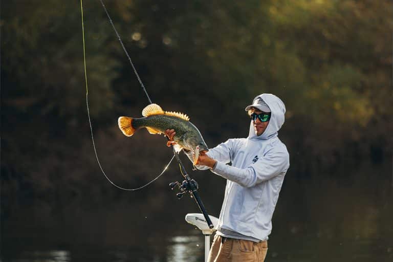 Abu Garcia Beast Casting Rod Series