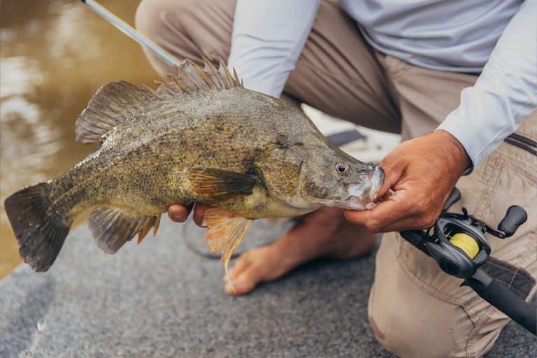 Abu Garcia Veritas Tournament Edition Casting Rod