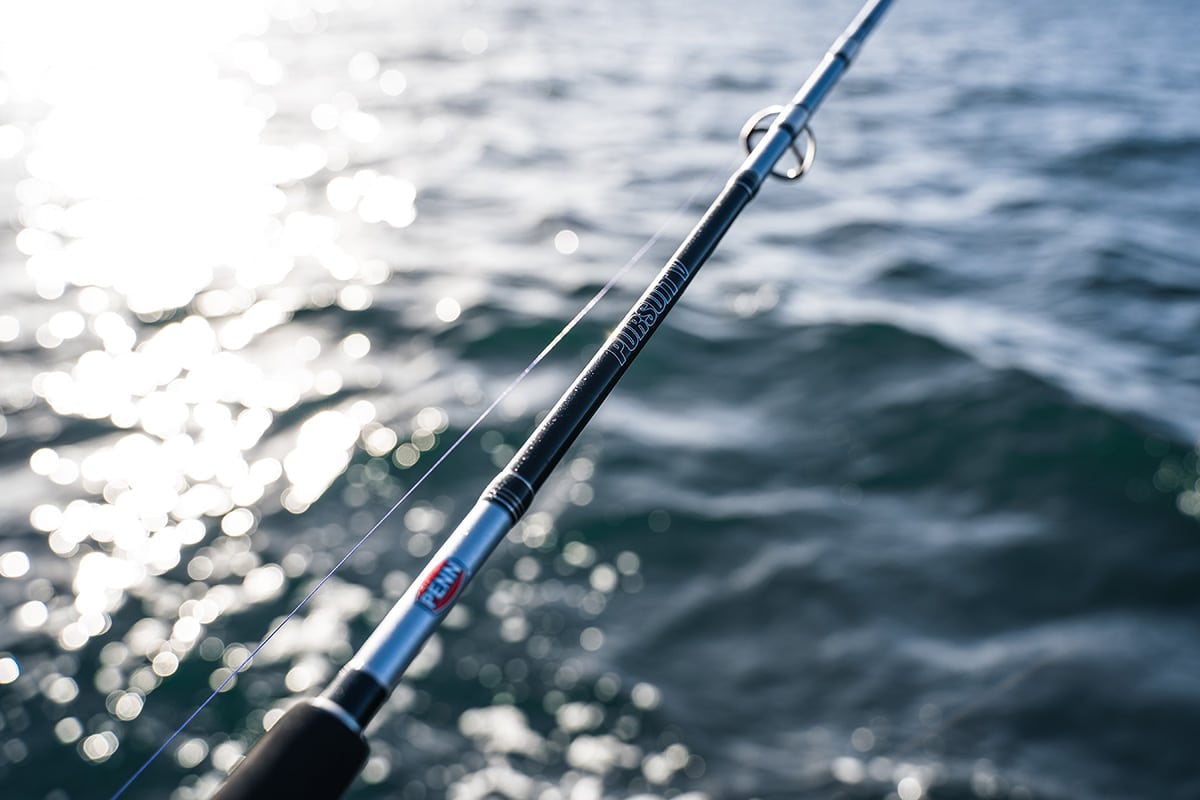 PENN Pursuit V Spinning Combos – 5000 & 6000 Sizes (Multiple Models)