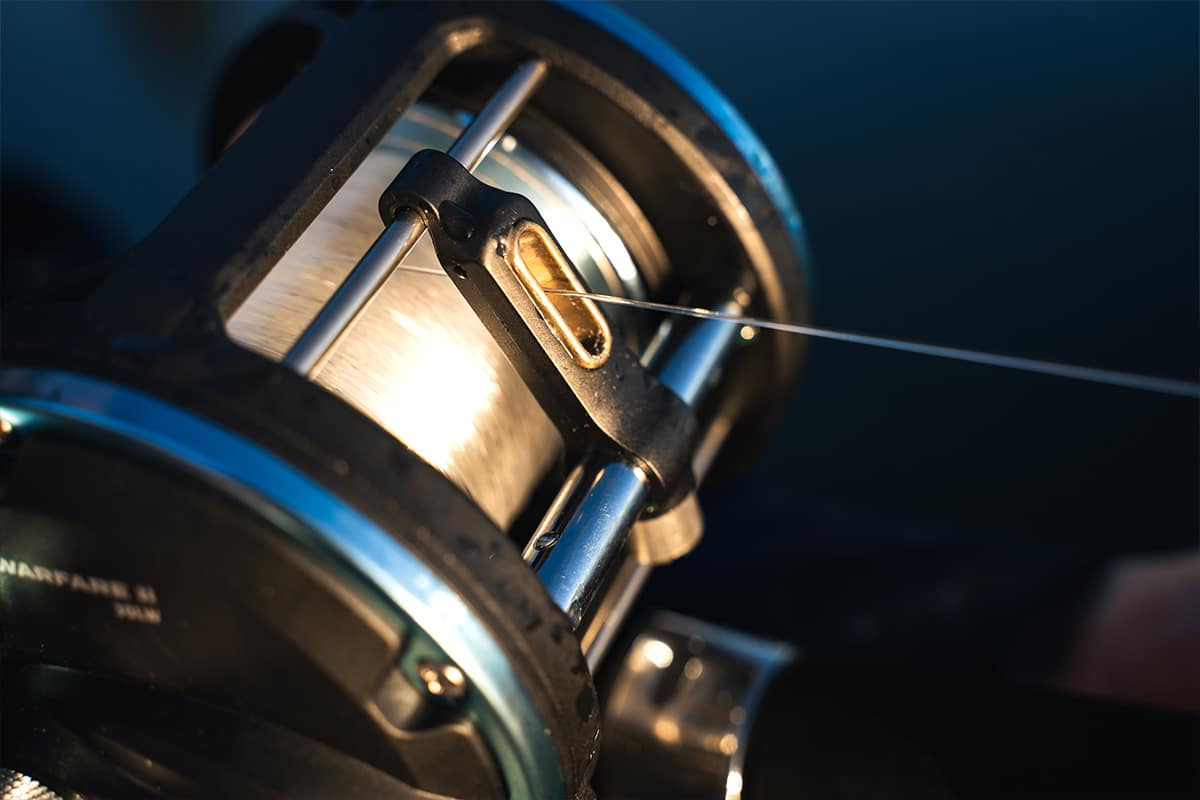 PENN Warfare II Combo - Lightweight Graphite Frame with HT-100 Drag