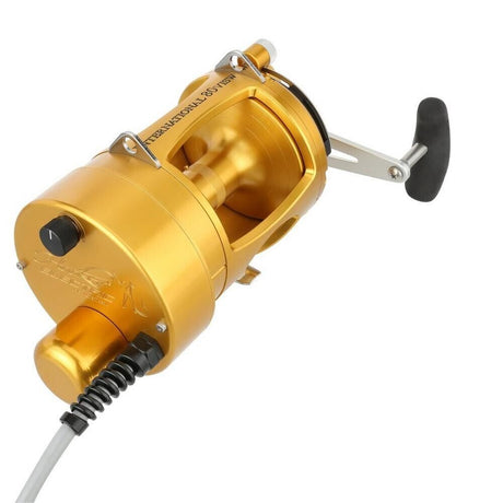 Hooker Electric Penn INTERNATIONAL VI INT50VISWSM Standard Fishing Overhead Reel