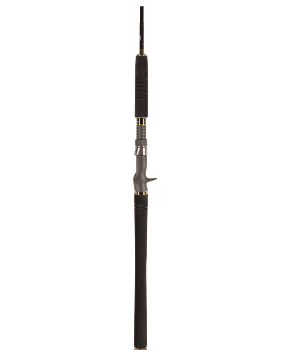 PENN Ocean Assassin II 6'2" 1 Pce 621M Jig Overhead Fishing Rod PE 2-4 - 1623766