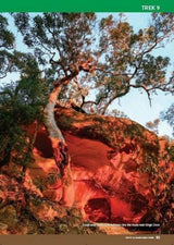NEW 4WD Treks Close to SYDNEY By Craig Lewis and Cathy Savage Spiral Ringed Book