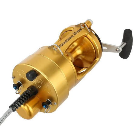 Hooker Electric Penn INTERNATIONAL VI INT70VISDM Detachable Fish Overhead Reel