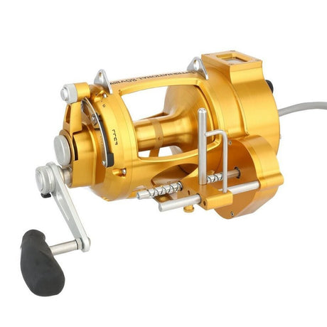 Hooker Electric Penn INTERNATIONAL VI INT30VISWAS AutoStop Fish Overhead Reel