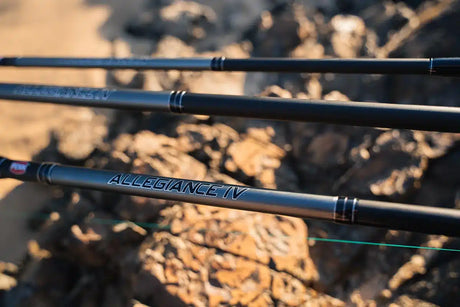 Penn Allegiance IV Surf Spin Rod Series
